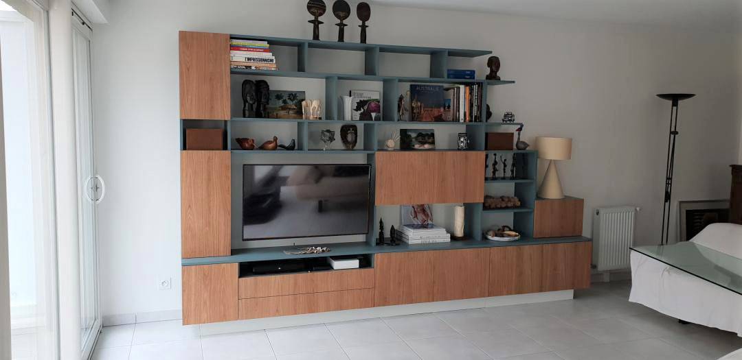 Bibliothèque avec TV intégrée