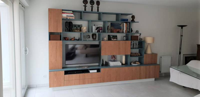 Bibliothèque avec TV intégrée